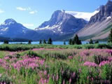 038_CanadianRockies_Alberta