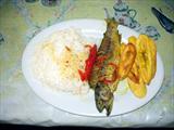 Piranha for lunch