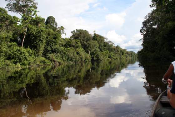 Yarapa river   Day 1