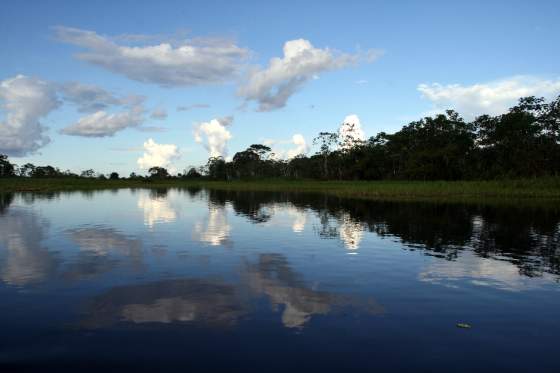 Lake reflections