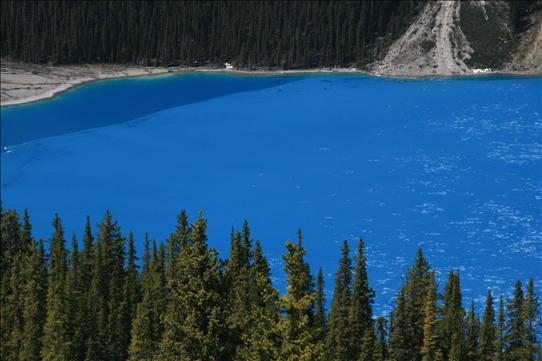 Peyto Lake close up