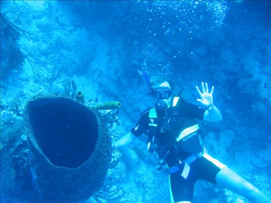 Belize rubbish bin coral