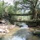 Double Decker root bridge