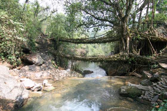 Double Decker root bridge