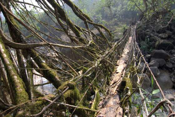 http://www.globenotes.com/members/photos/peterforan/cherrapunjee-india-262639.jpg