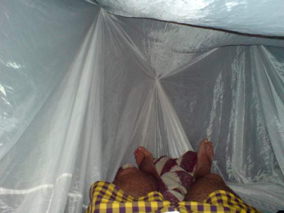 Day 2   Inside my mozzie net