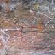 Aboriginal Rock Art