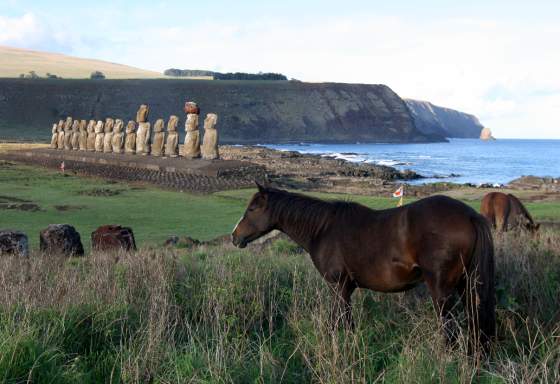 Tongariki and horses