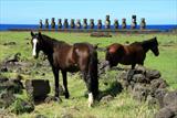Horse vs Moai