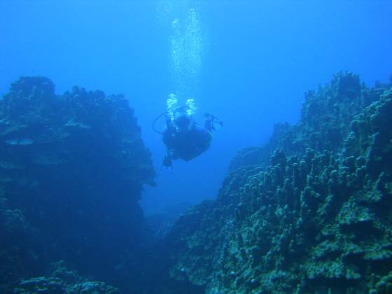 Dive trip