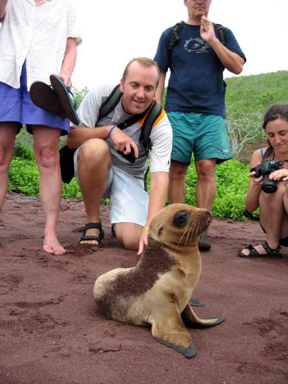 Rabida   Sealion pup