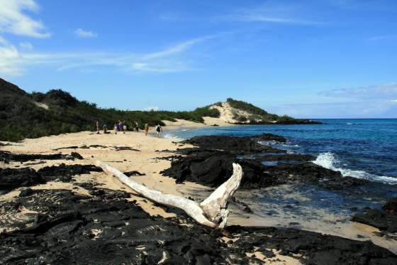 Bartolomé   Beach beside lava