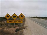 Outback roadsigns