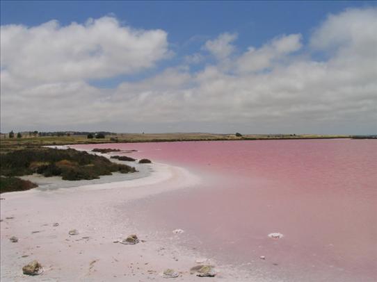 Pink Lake