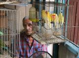 Bird seller