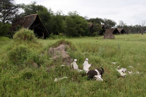 The Hide huts