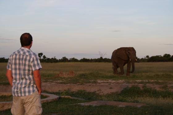 Facing off against the elephant