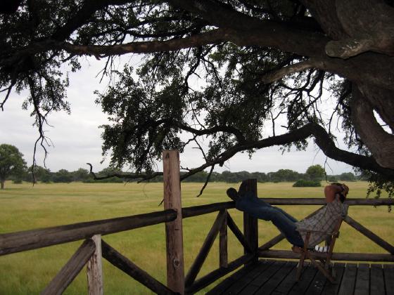 Taking in the scenery at The Dove's Nest treehouse