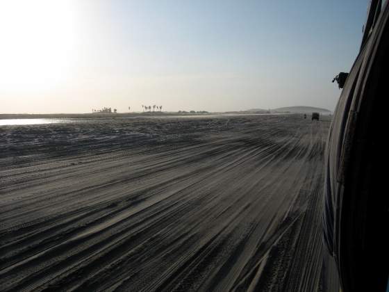 Taking the Jardineria along the dunes!