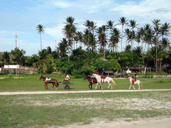 There are a lot of bareback horseriders in the area