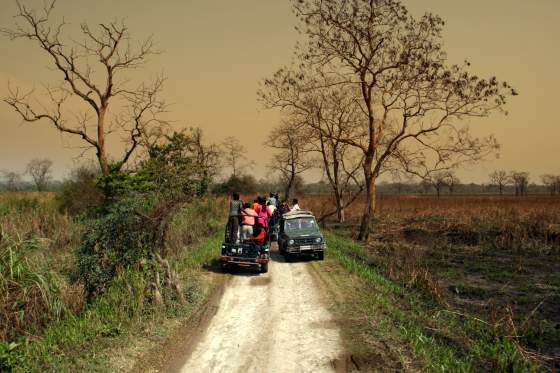 No escaping traffic jams in India