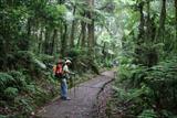 Day 1 ...  Nice rainforest shot