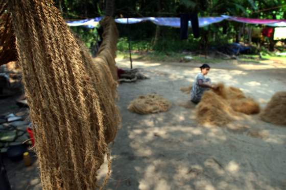 Coir rope made from coconut husk