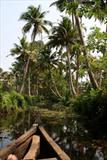 Kerala Backwater trip