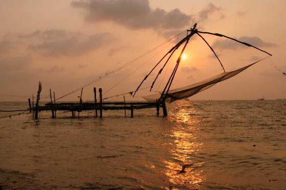 Chinese fishing nets