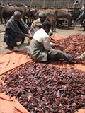Red chillies on Market day