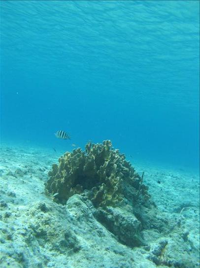 Snorkelling Maria la Gorda