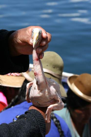 Lake Titicaca