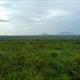 Northern Tanzanian landscape