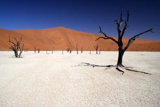 Deadvlei