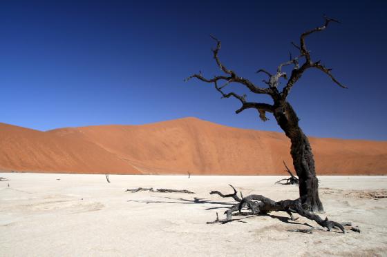 Deadvlei