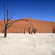 Deadvlei