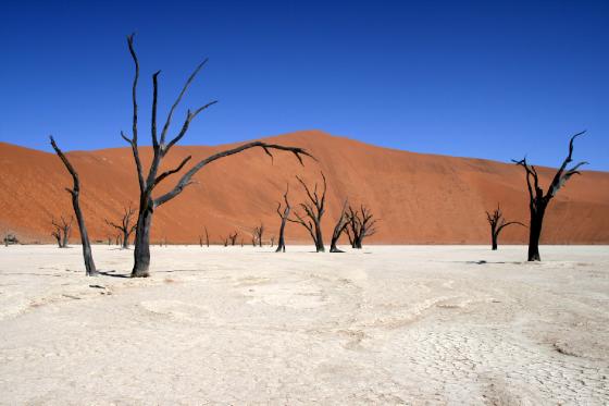 Deadvlei