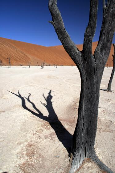 Deadvlei