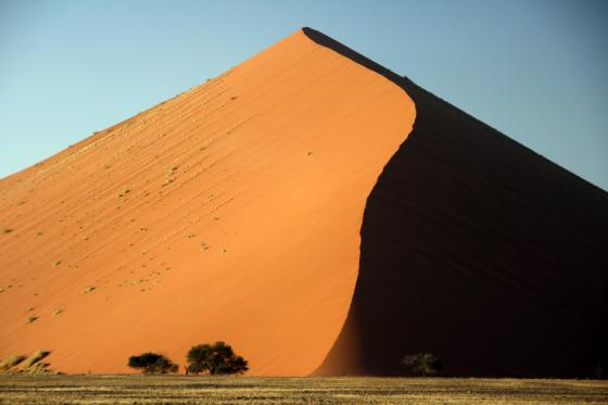 Namib Desert dune at sunrise