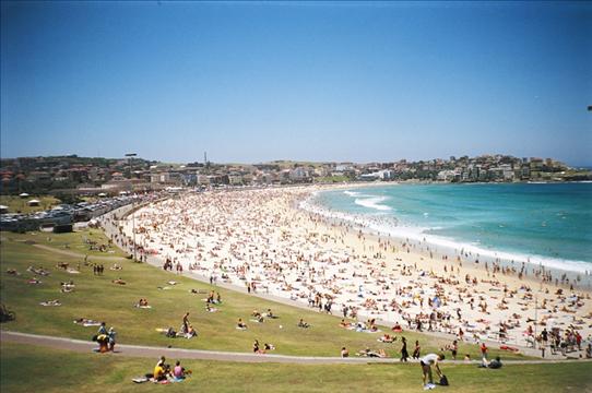 Xmas on Bondi!