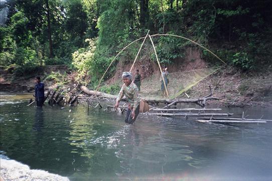 Fisherwoman