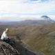 On Mt Ruaphue!