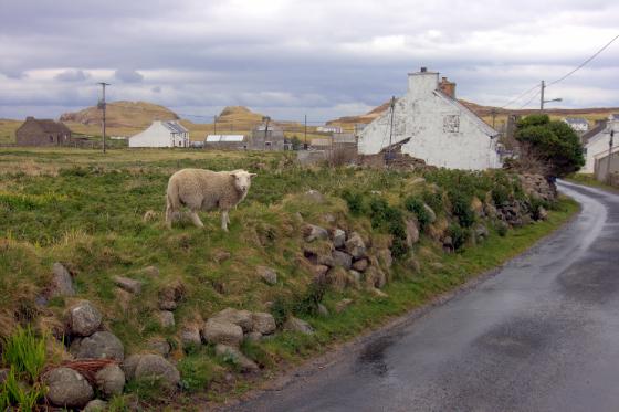 Tory Island is damn purty.