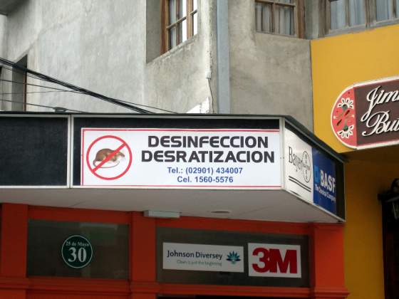 Desratizacion