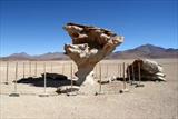 Rock blown into tree shape