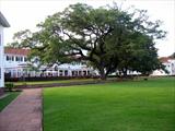 Victoria Falls Hotel   colonial elegance epitomised