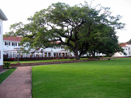 Victoria Falls Hotel   colonial elegance epitomised