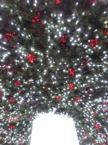 Standing below the Xmas Tree QVB Sydney