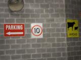 Cow Warnings in parking structure   Sydney