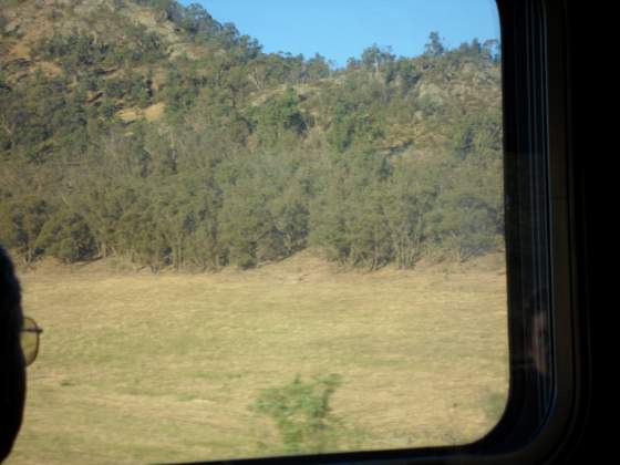 More outback bush on way to Adelaide